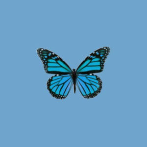 Meet your Posher, Carmen